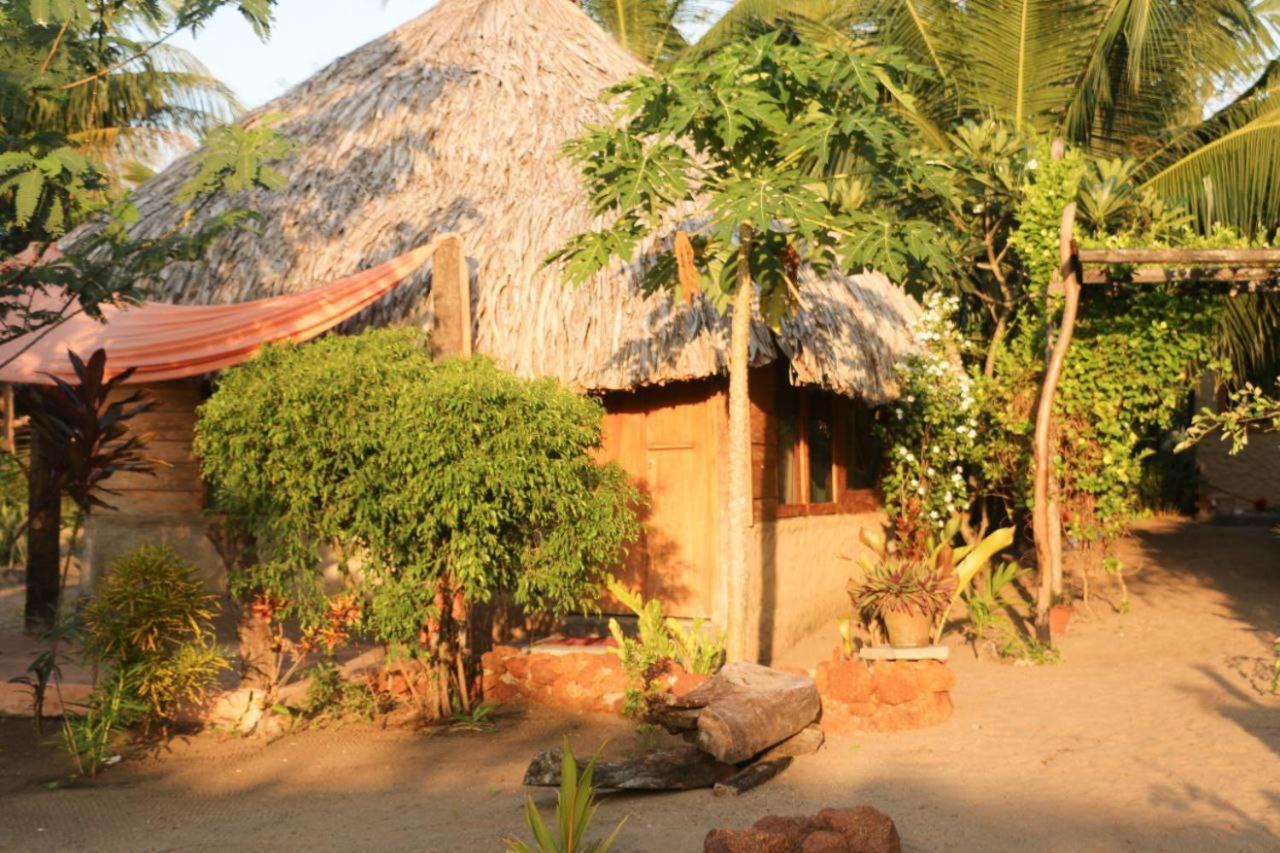 Monsoon Eco Resort - Whisky Point Arugambay Pottuvil Exteriér fotografie