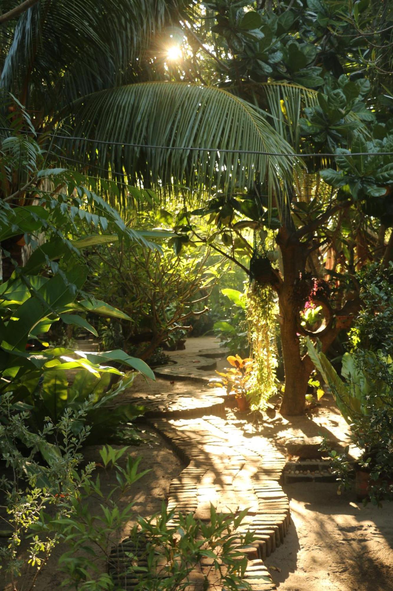 Monsoon Eco Resort - Whisky Point Arugambay Pottuvil Exteriér fotografie